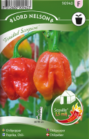 Chilipepper, 'Trinidad Scorpion'